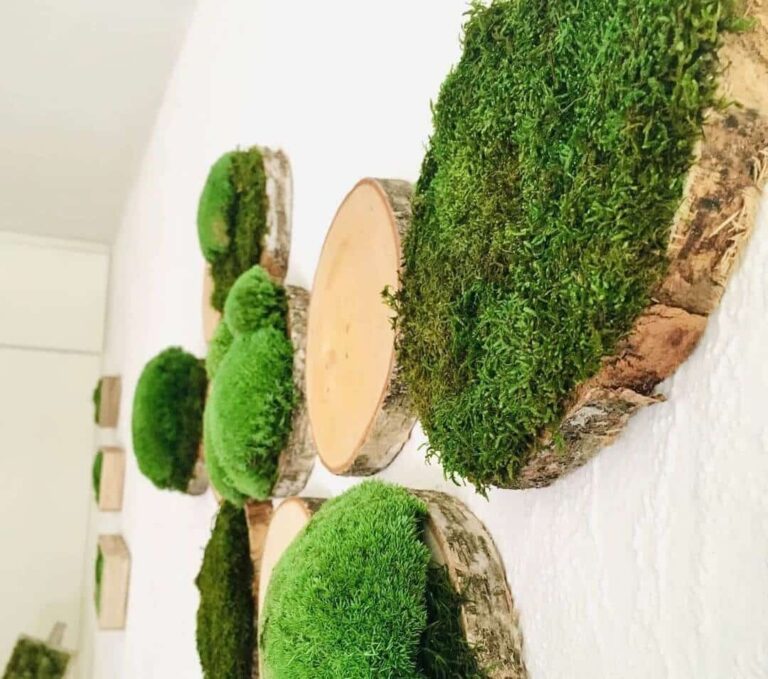 jardines-verticales-preservados-trabajo1