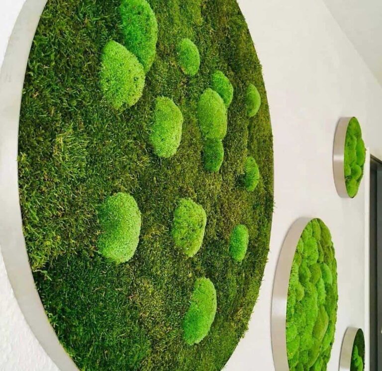 jardines-verticales-preservados-trabajo3