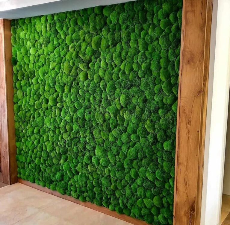 jardines-verticales-preservados-trabajo8