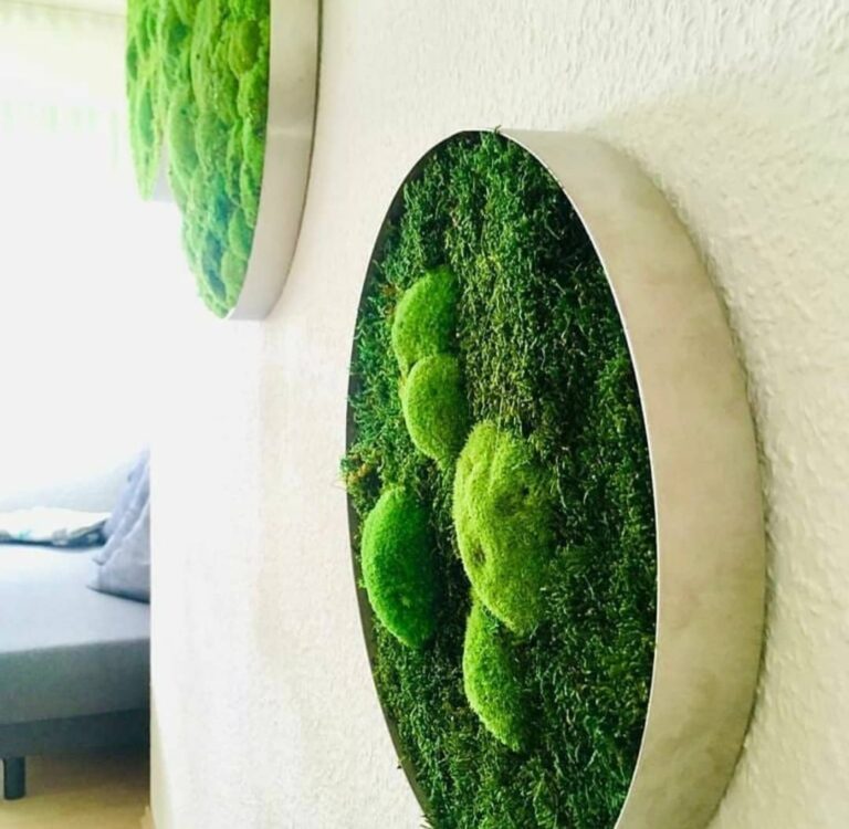 jardines-verticales-preservados-trabajo9